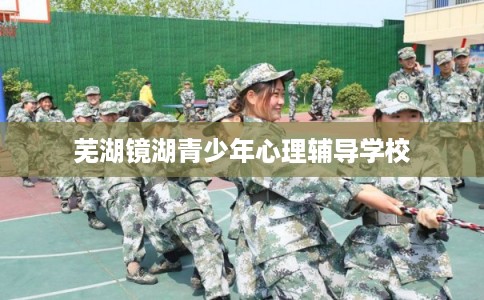 芜湖镜湖青少年心理辅导学校