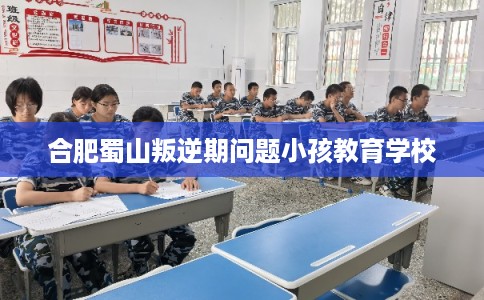 合肥蜀山叛逆期问题小孩教育学校