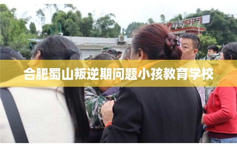 合肥蜀山叛逆期问题小孩教育学校