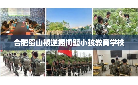 合肥蜀山叛逆期问题小孩教育学校