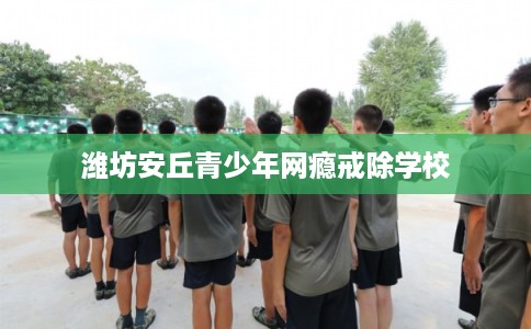 潍坊安丘青少年网瘾戒除学校