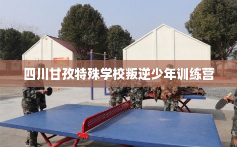 四川甘孜特殊学校叛逆少年训练营