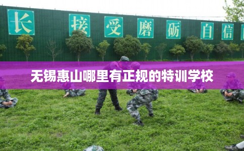 无锡惠山哪里有正规的特训学校