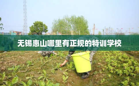 无锡惠山哪里有正规的特训学校