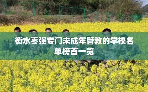 衡水枣强专门未成年管教的学校名单榜首一览