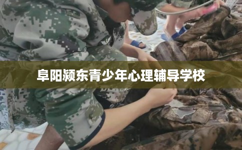 阜阳颍东青少年心理辅导学校