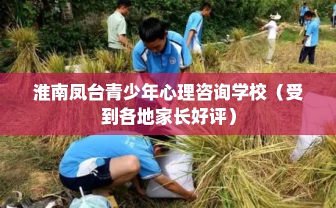 淮南凤台青少年心理咨询学校（受到各地家长好评）