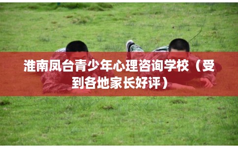 淮南凤台青少年心理咨询学校（受到各地家长好评）