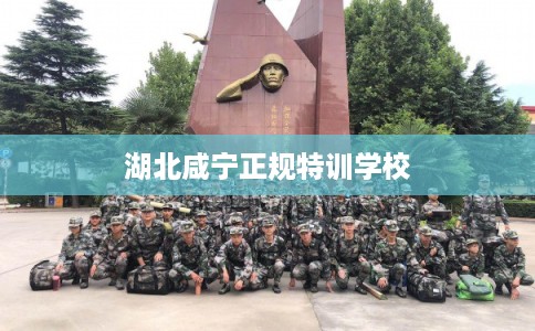 湖北咸宁正规特训学校