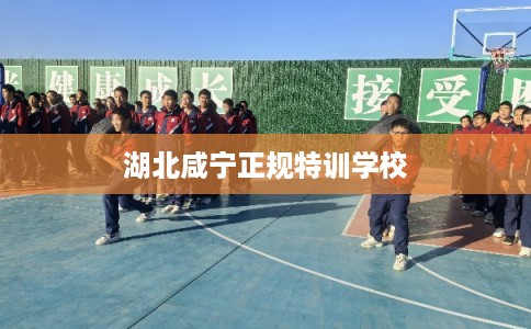 湖北咸宁正规特训学校