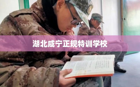 湖北咸宁正规特训学校