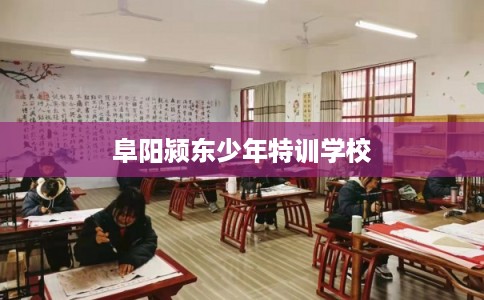 阜阳颍东少年特训学校
