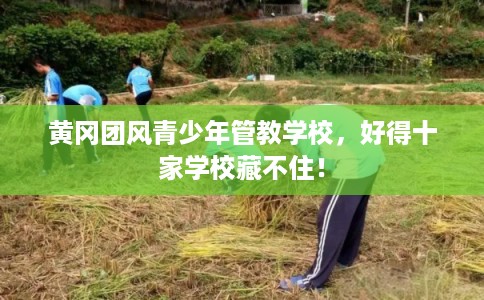 黄冈团风青少年管教学校，好得十家学校藏不住！