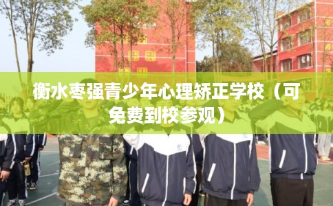衡水枣强青少年心理矫正学校（可免费到校参观）