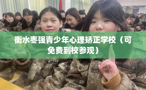 衡水枣强青少年心理矫正学校（可免费到校参观）