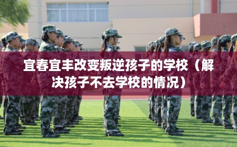 宜春宜丰改变叛逆孩子的学校（解决孩子不去学校的情况）