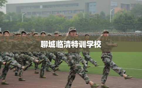 聊城临清特训学校