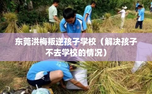 东莞洪梅叛逆孩子学校（解决孩子不去学校的情况）