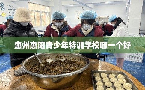 惠州惠阳青少年特训学校哪一个好