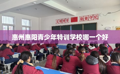 惠州惠阳青少年特训学校哪一个好