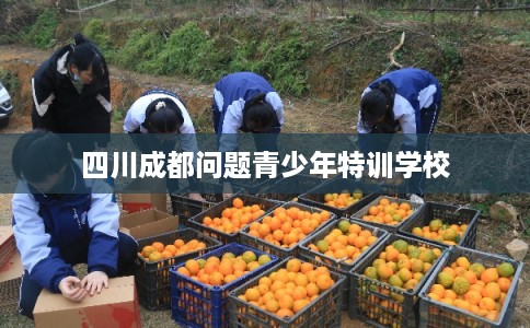 四川成都问题青少年特训学校
