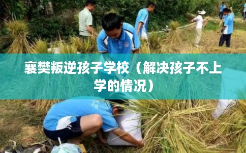 襄樊叛逆孩子学校（解决孩子不上学的情况）