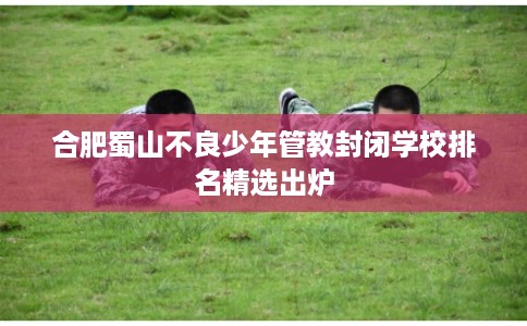 合肥蜀山不良少年管教封闭学校排名精选出炉