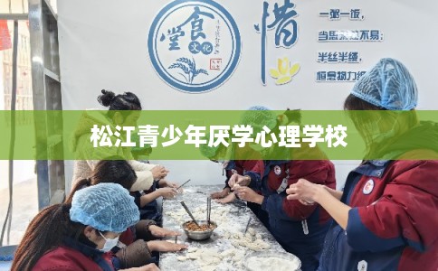 松江青少年厌学心理学校