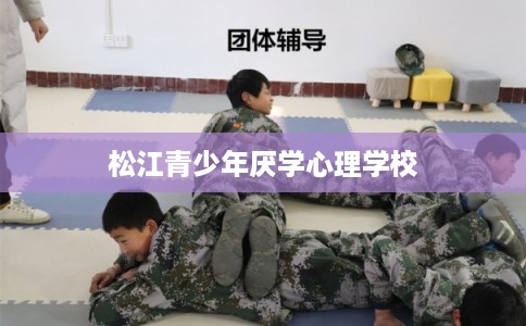 松江青少年厌学心理学校