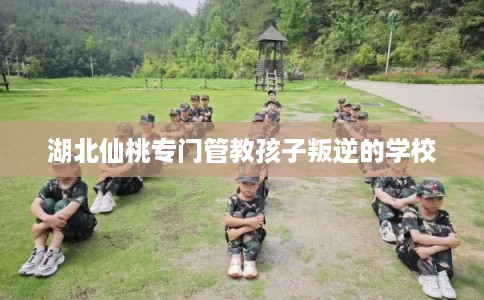湖北仙桃专门管教孩子叛逆的学校