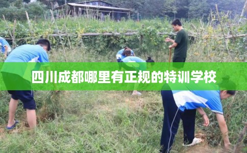 四川成都哪里有正规的特训学校