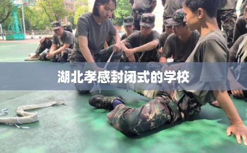 湖北孝感封闭式的学校