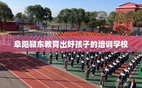 阜阳颍东教育出好孩子的培训学校