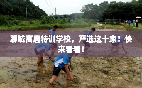 聊城高唐特训学校，严选这十家！快来看看！