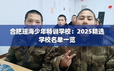 合肥瑶海少年特训学校：2025精选学校名单一览
