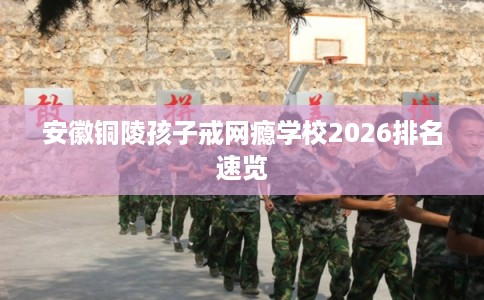 安徽铜陵孩子戒网瘾学校2026排名速览