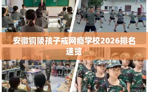 安徽铜陵孩子戒网瘾学校2026排名速览