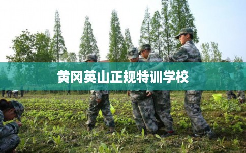 黄冈英山正规特训学校