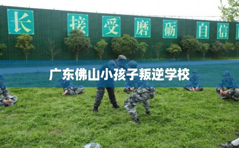 广东佛山小孩子叛逆学校