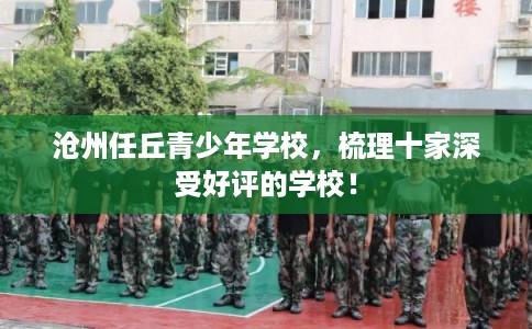 沧州任丘青少年学校，梳理十家深受好评的学校！