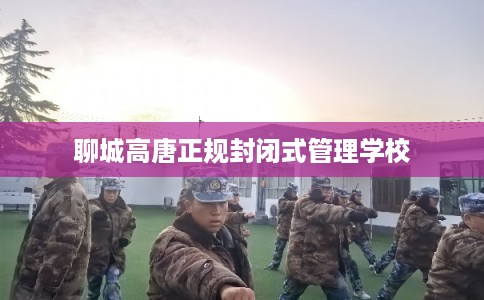 聊城高唐正规封闭式管理学校