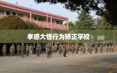 孝感大悟行为矫正学校