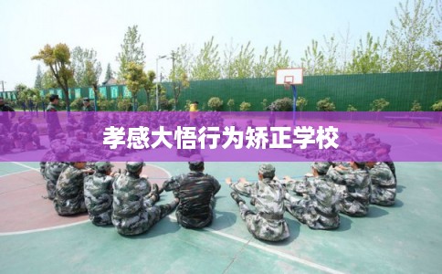 孝感大悟行为矫正学校
