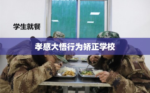 孝感大悟行为矫正学校