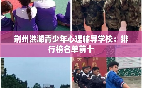 荆州洪湖青少年心理辅导学校：排行榜名单前十