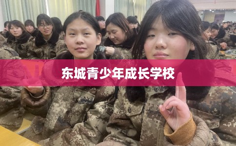 东城青少年成长学校