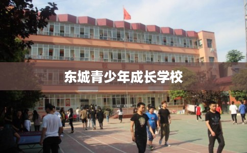 东城青少年成长学校