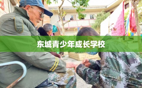 东城青少年成长学校