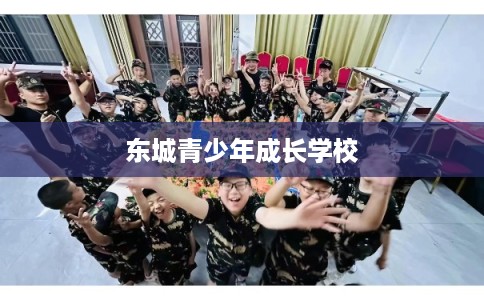 东城青少年成长学校
