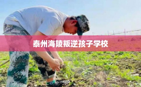 泰州海陵叛逆孩子学校